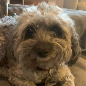 Meet your Posher, Mary kathryn